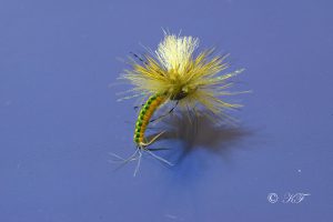 CDC Deer Hair Emerger in green-yellow by Karl Flick