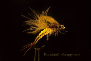 Fliege von Konstantin Karagyozov