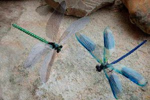 Dragonflies by Heinz Zöldi
