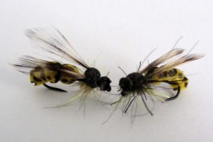 Wasps by Peter Kunz